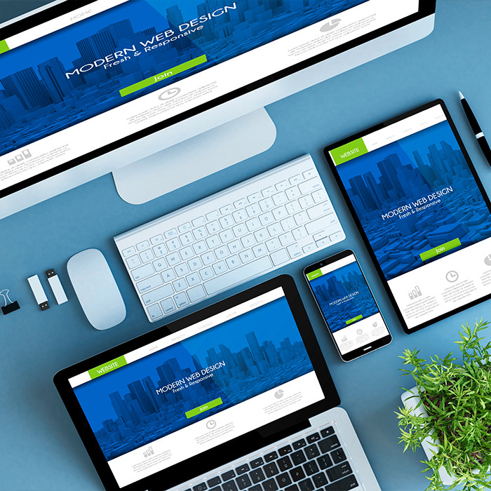 Plateforme web et infrastructure